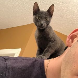 Meet your Posher, Cameron